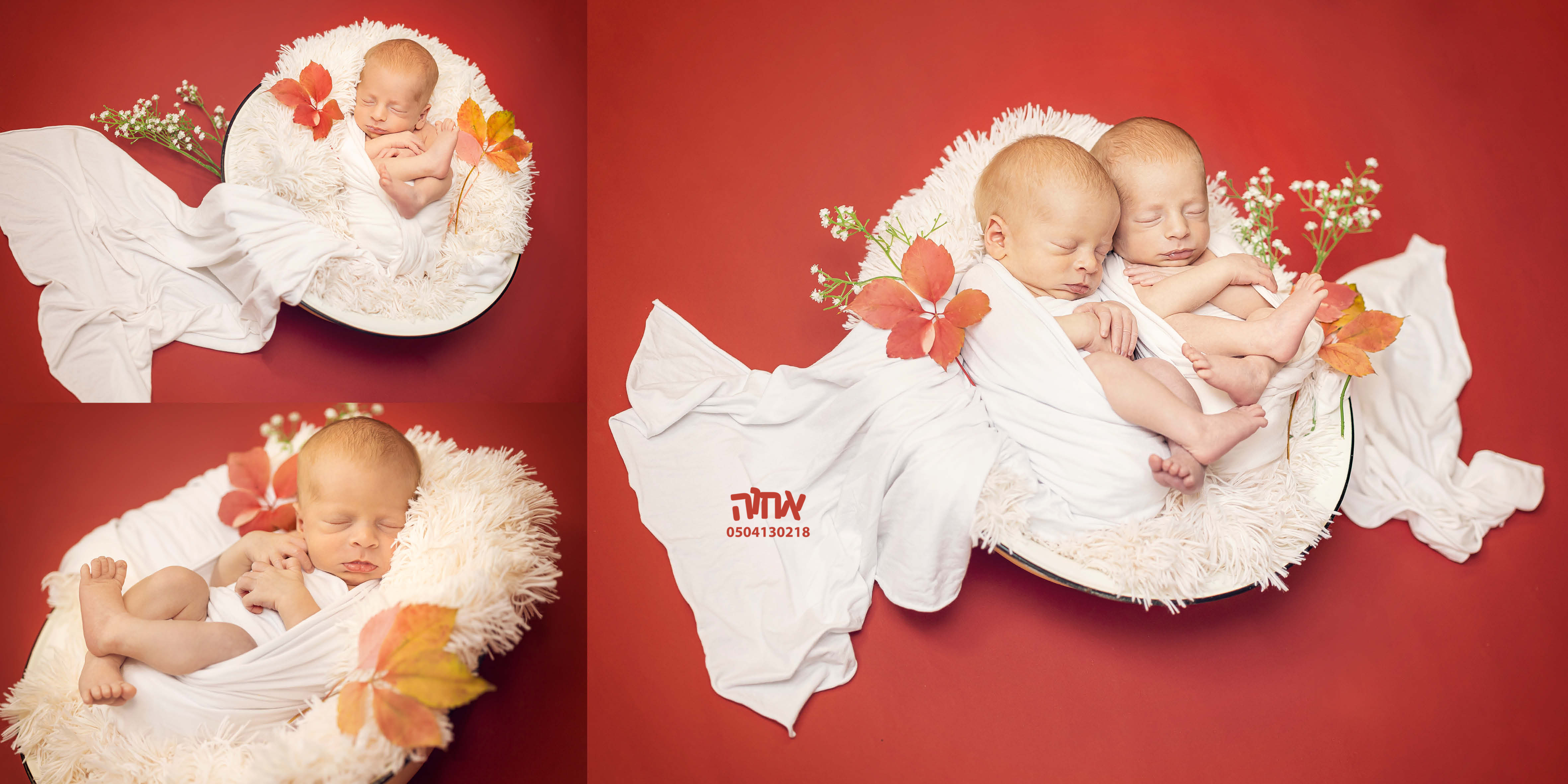 מאיר ומוטי גלבך3.jpg