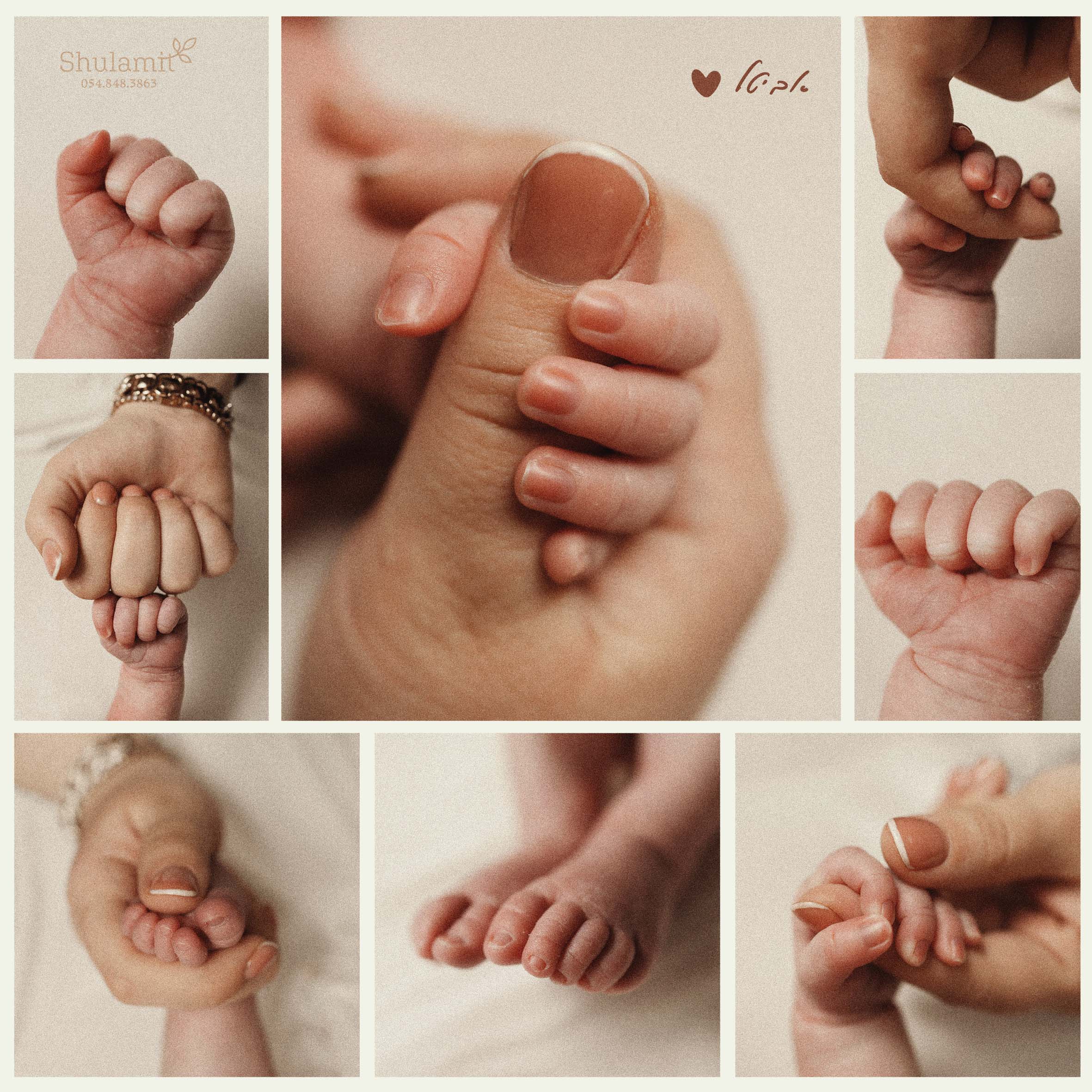 מאקרו אביטל איכות לצפיה 0548483863.jpg