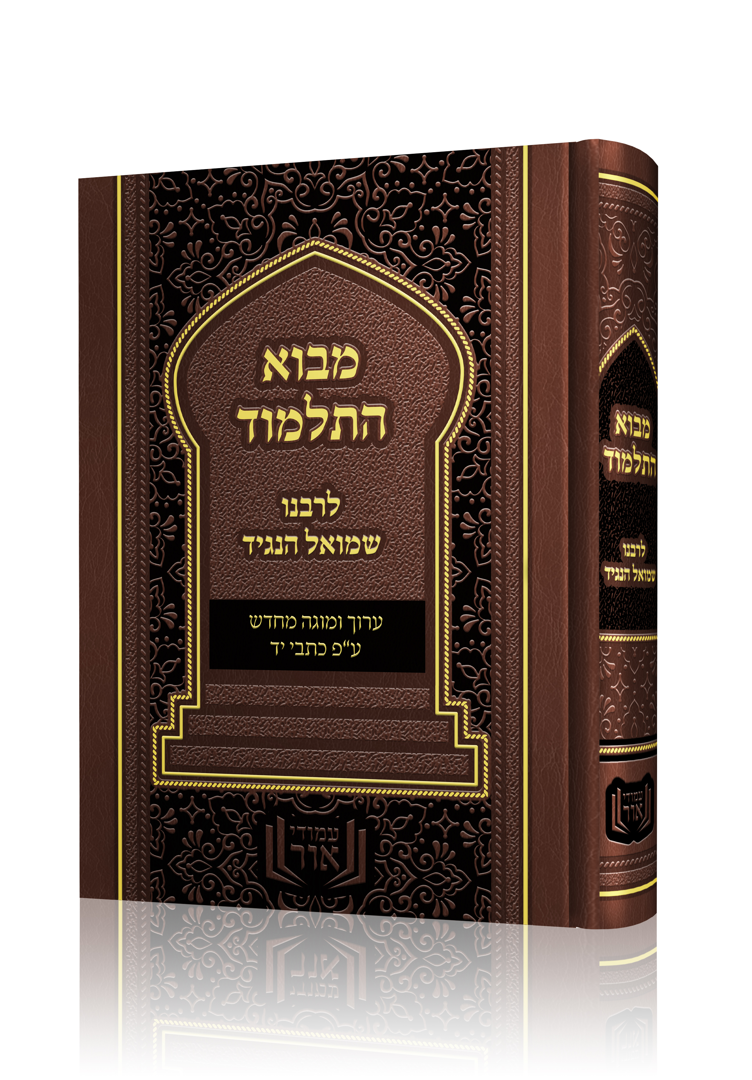 מבוא התלמוד הדמיה.jpg