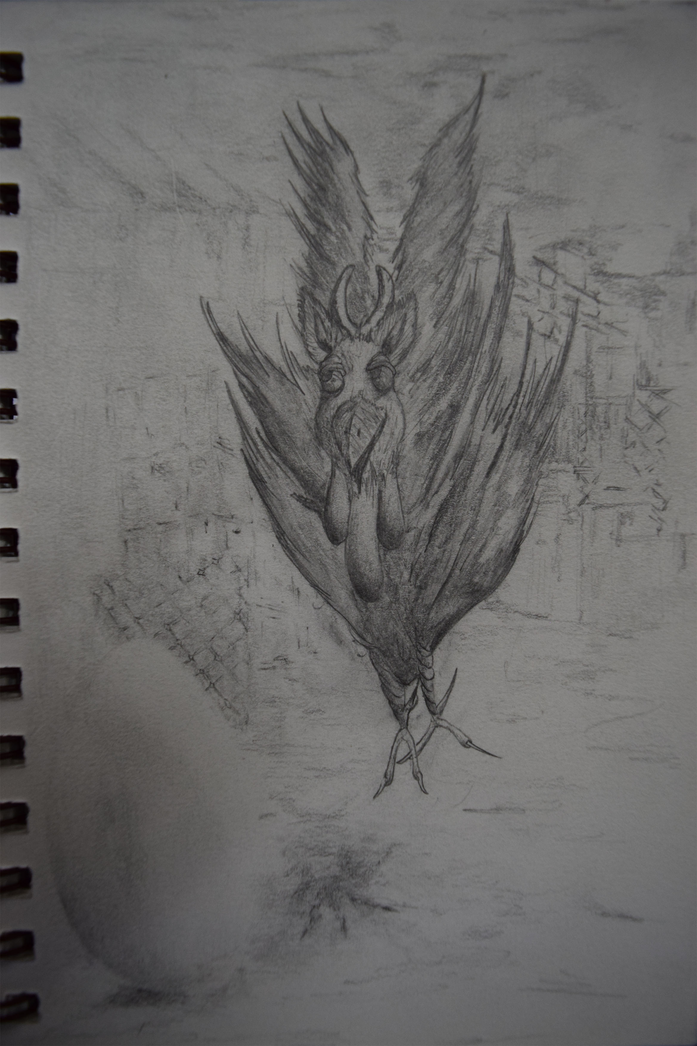 מבט של תרנגועז.jpg