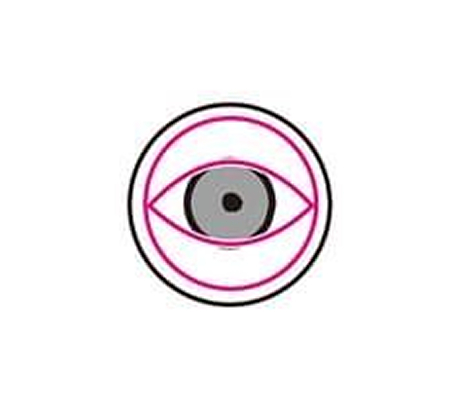 מבנה העין מלפנים.jpg