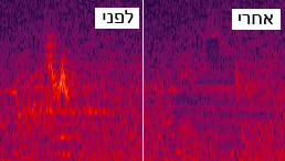 מברשת ריפוי.jpg