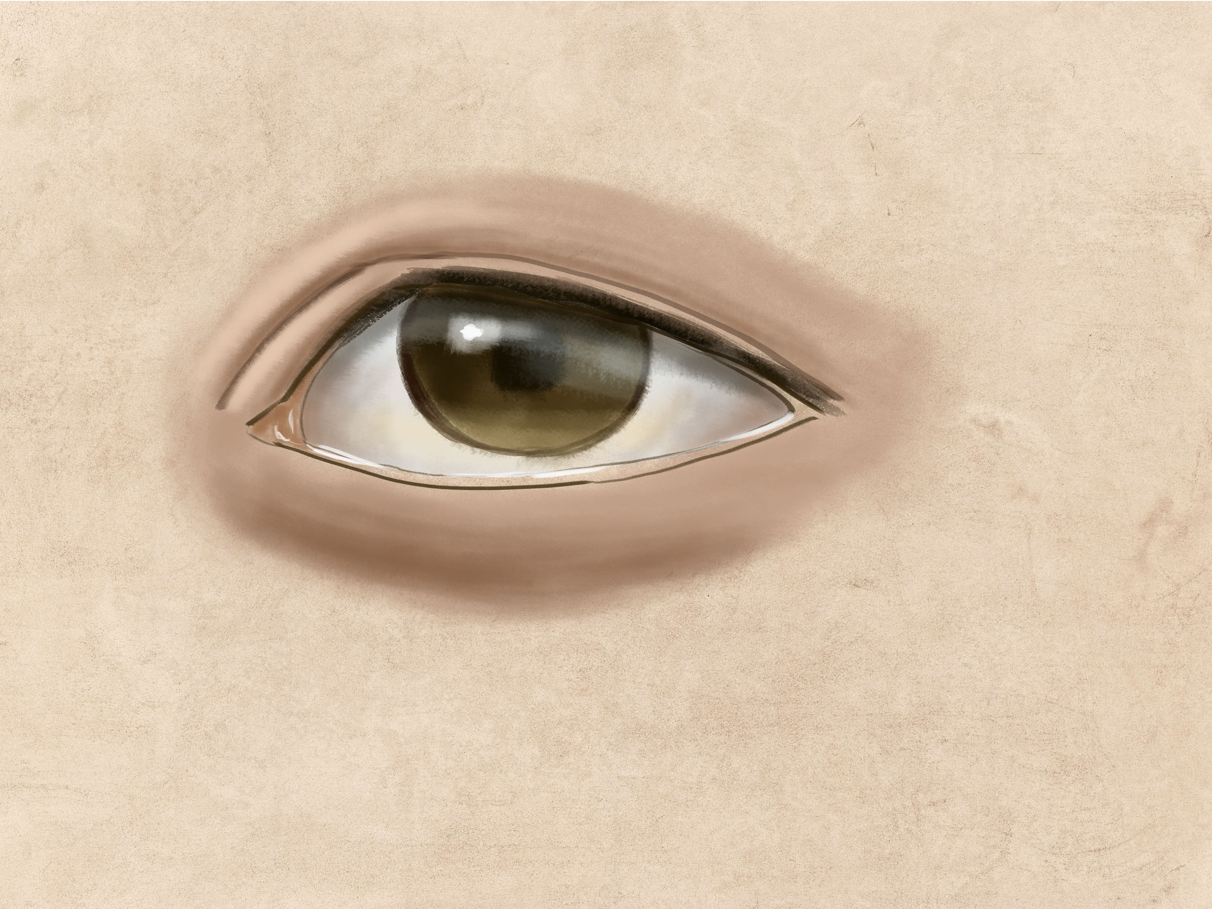 מברשת רכה.jpg