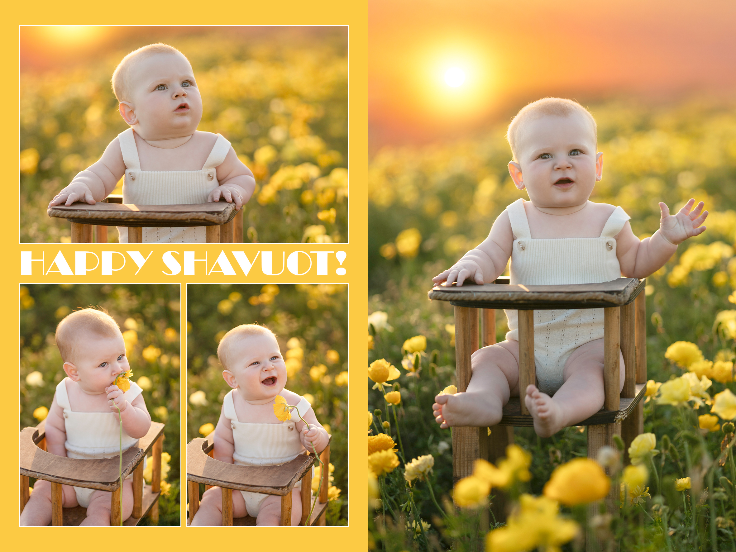 מגנט אופציה 2.jpg