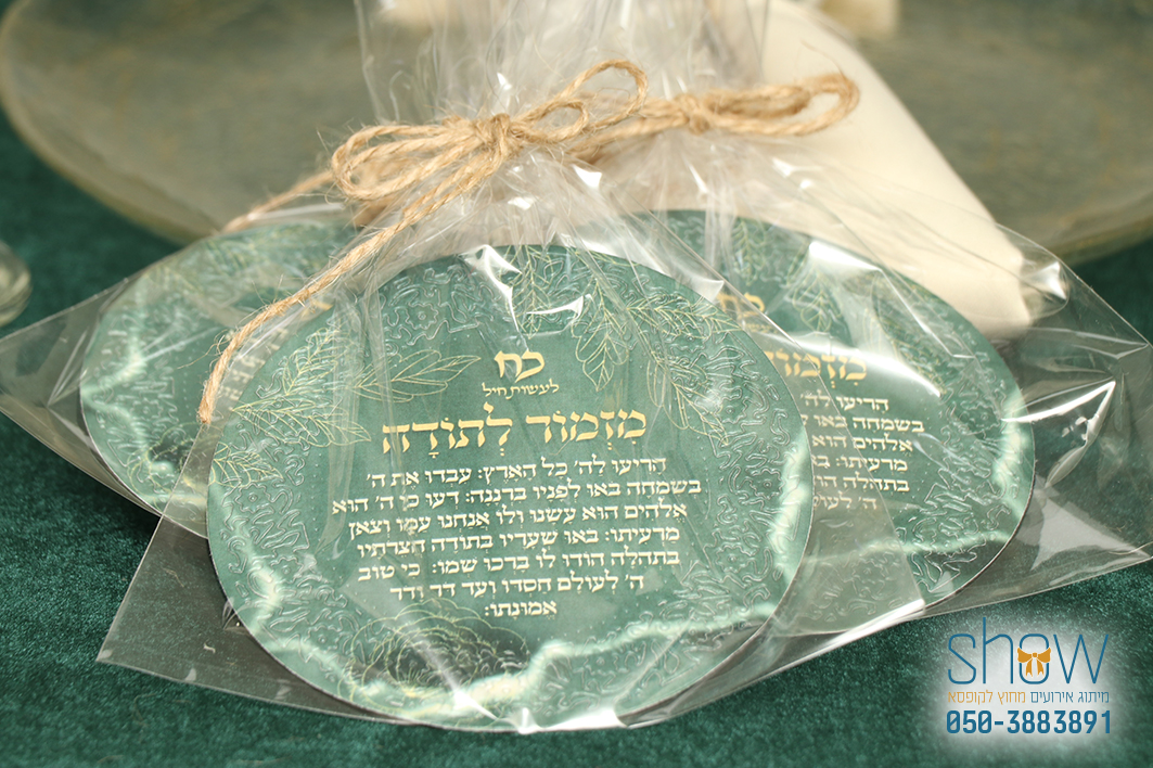 מגנט עגול מדוגם.jpg