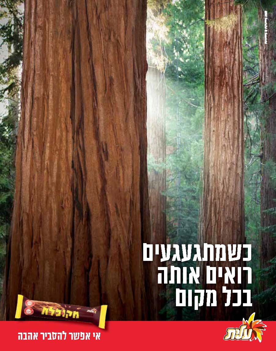 מדד 20202_עמוד_209.jpg