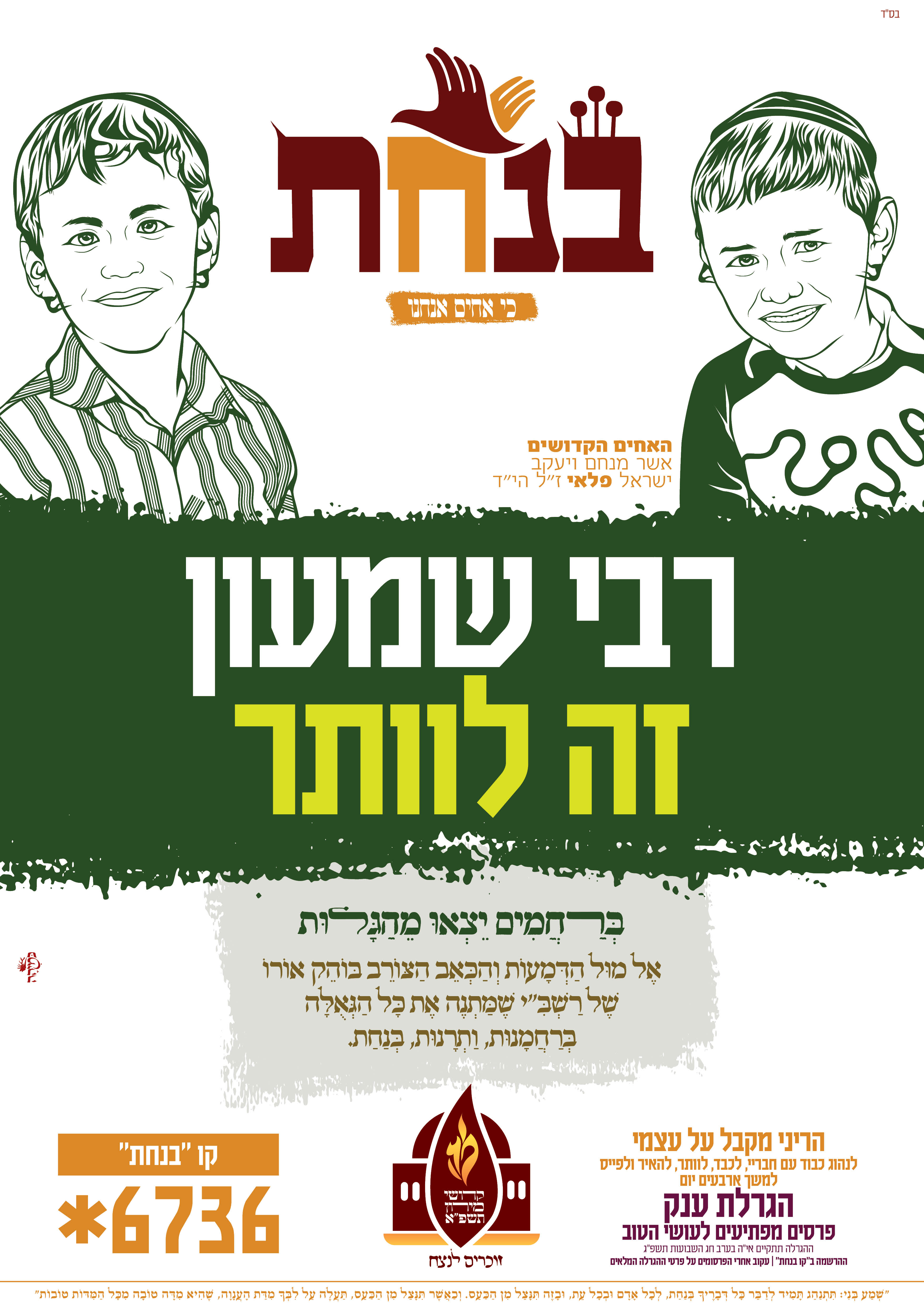 מדיה מקוצר בנחת האחים פלאי.jpg