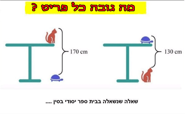 -מה-הגובה.png