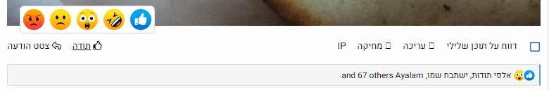 מה זה מנוי 6.png