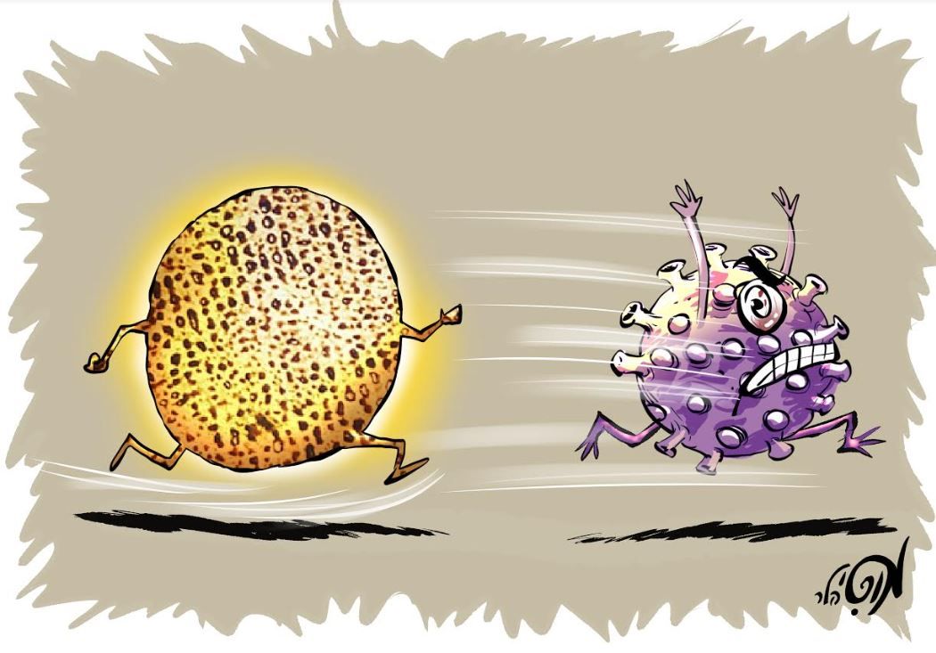 מה קורונה מוטי.JPG