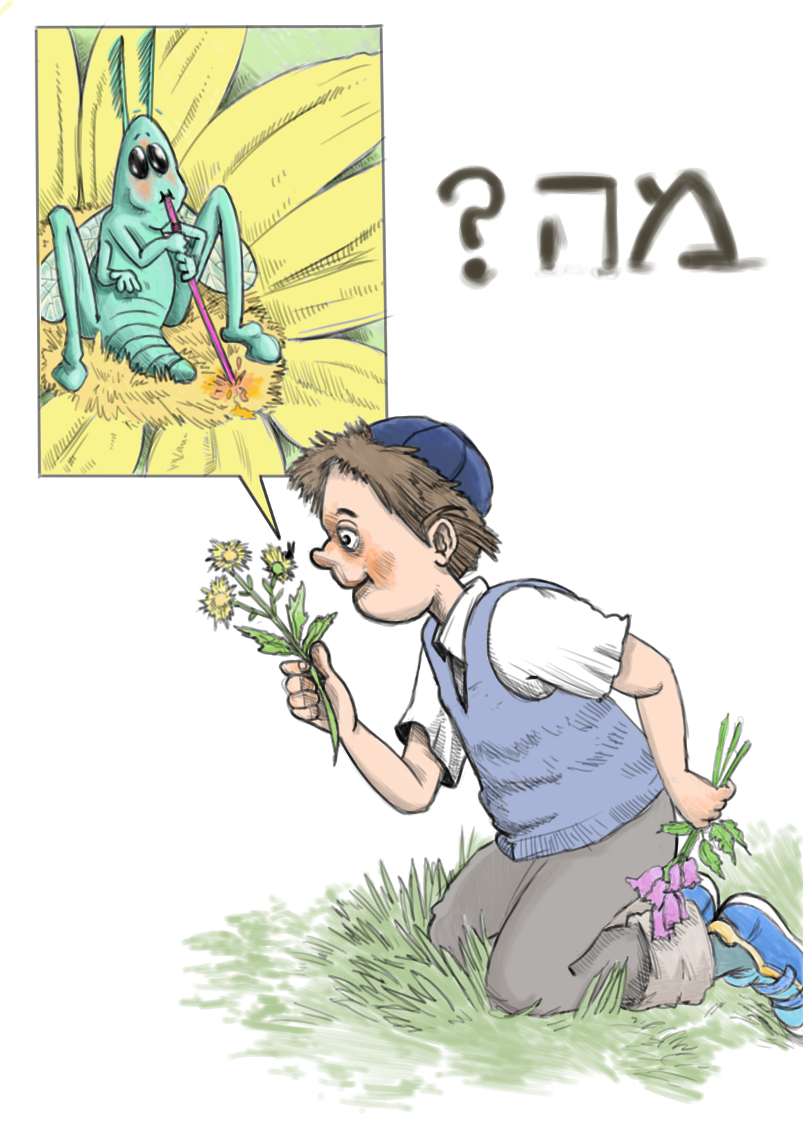 מה.jpg