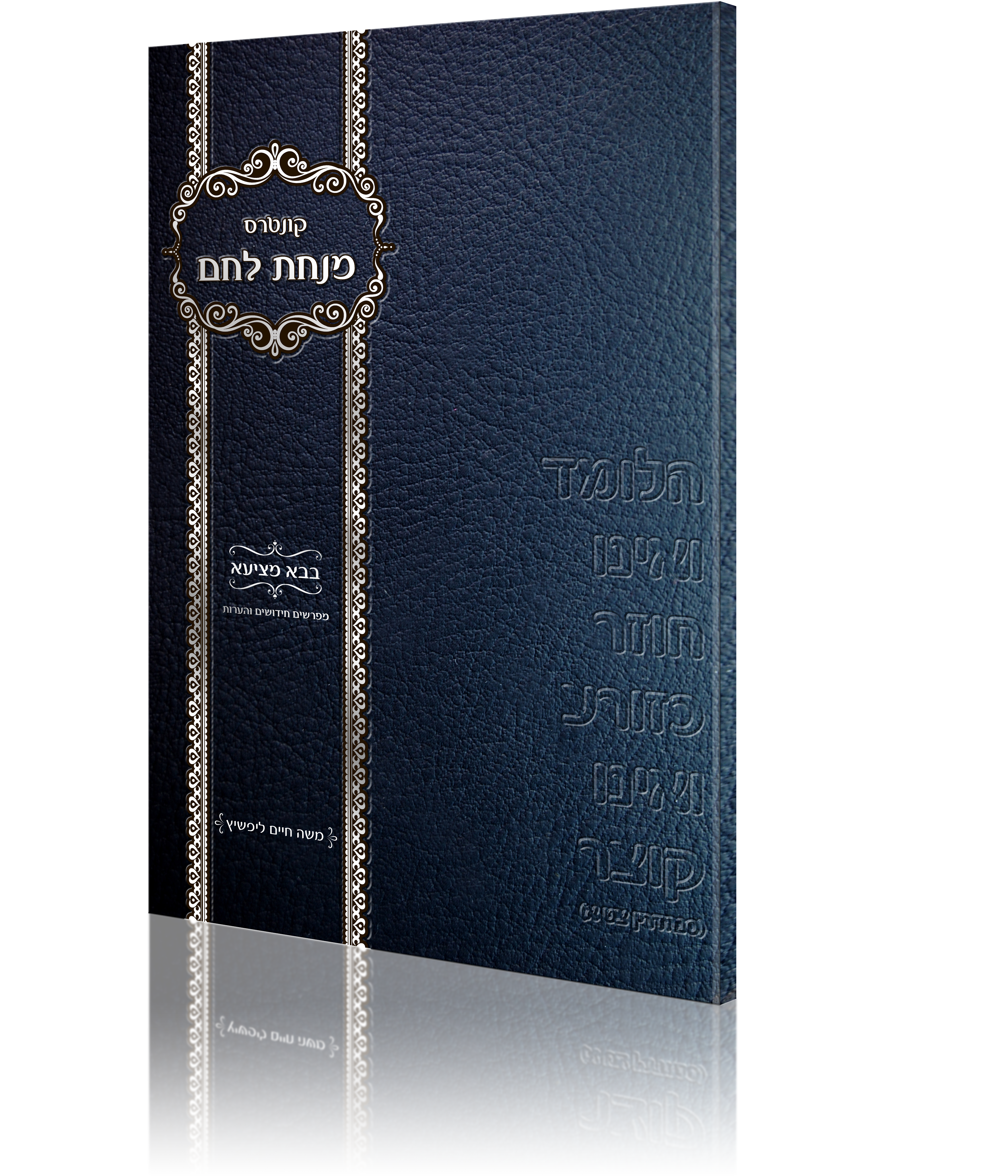 מובלט סופי3 הדמיה 2.png