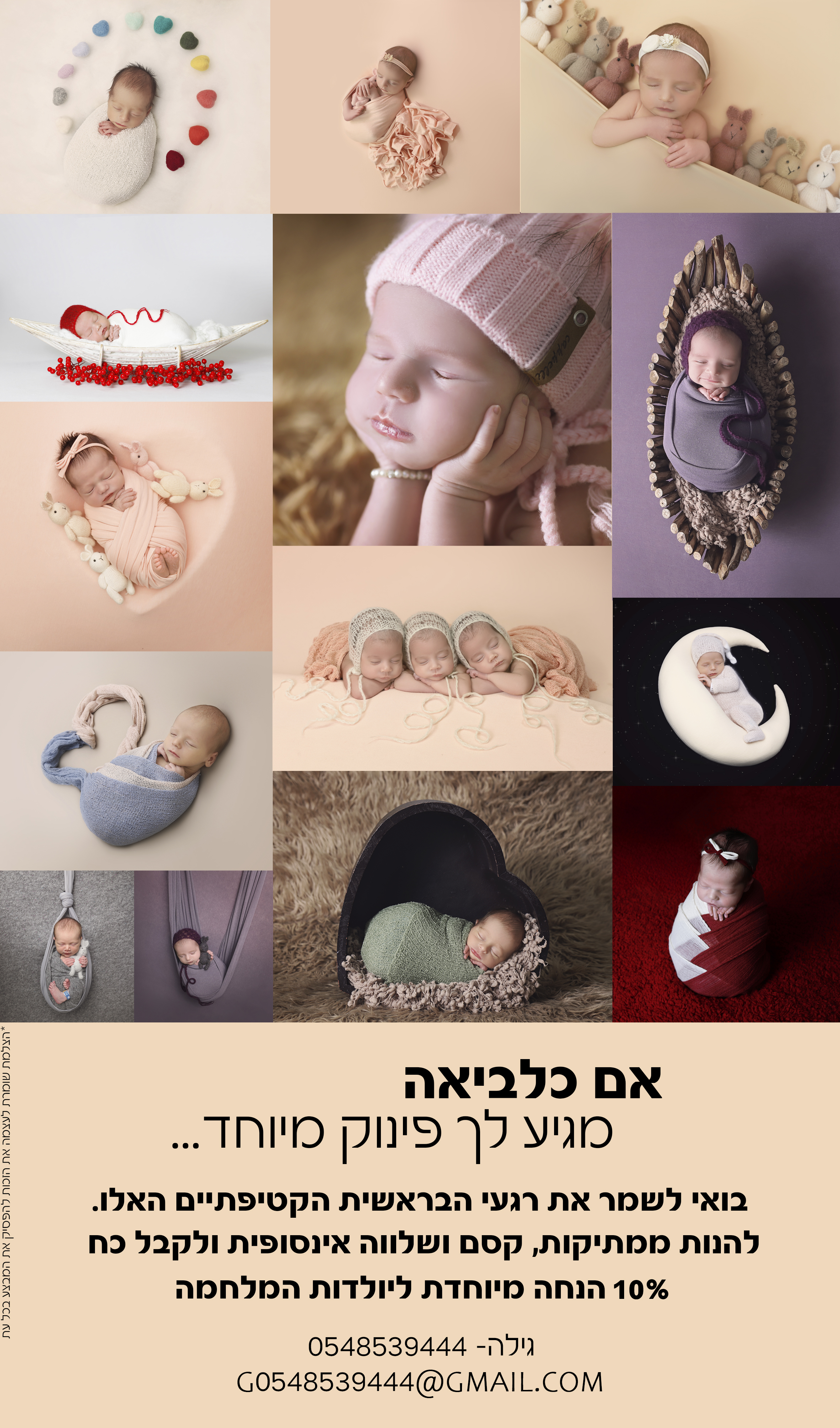 מודעה עם כלביא copy.jpg