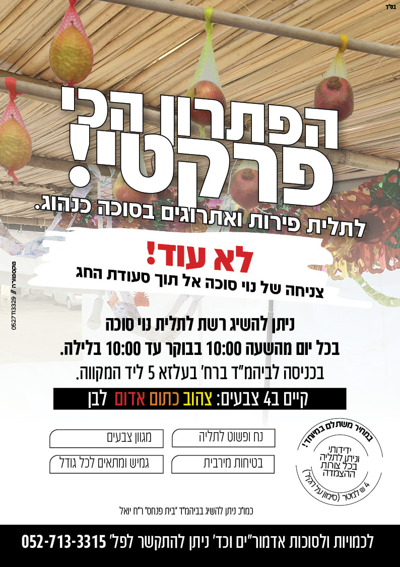מודעה רשתות לנוי סוכה.jpg