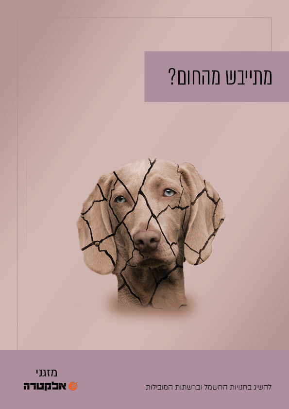 מודעות.jpg