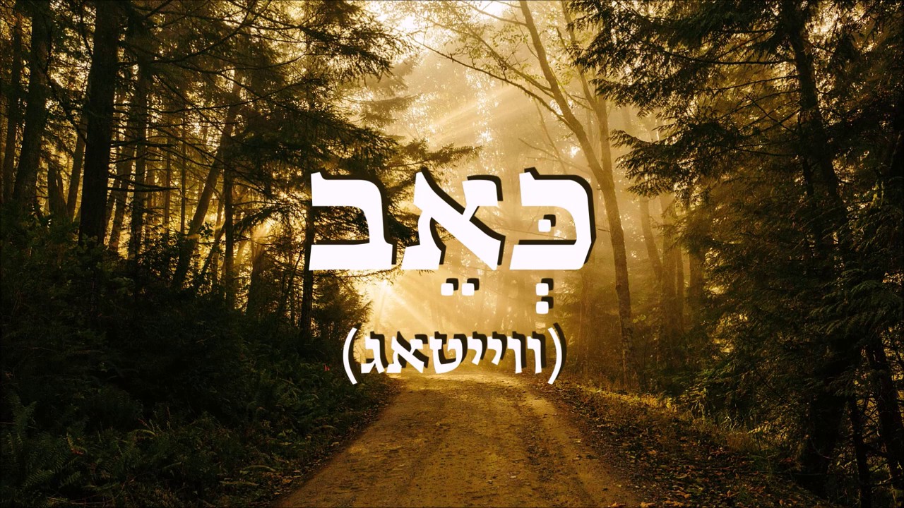 מוטי אילוביץ - ווייטאג - כאב - מתורגם.jpg