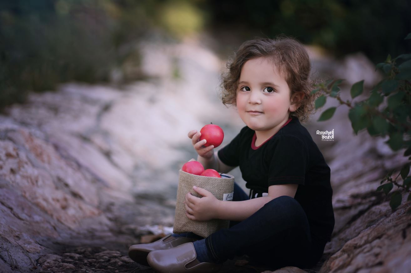 מוישי ז. 5.JPG