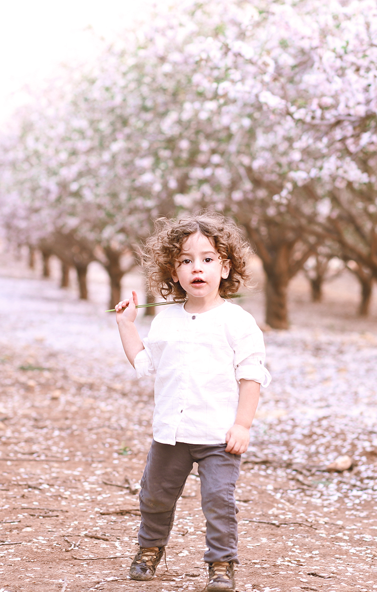 מוישי חתוך.jpg