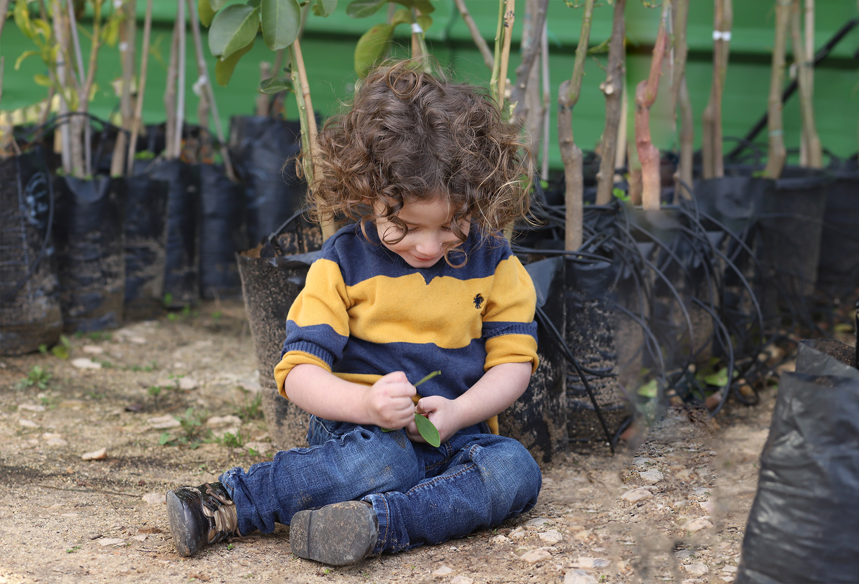 מוישי ראש למטה.jpg