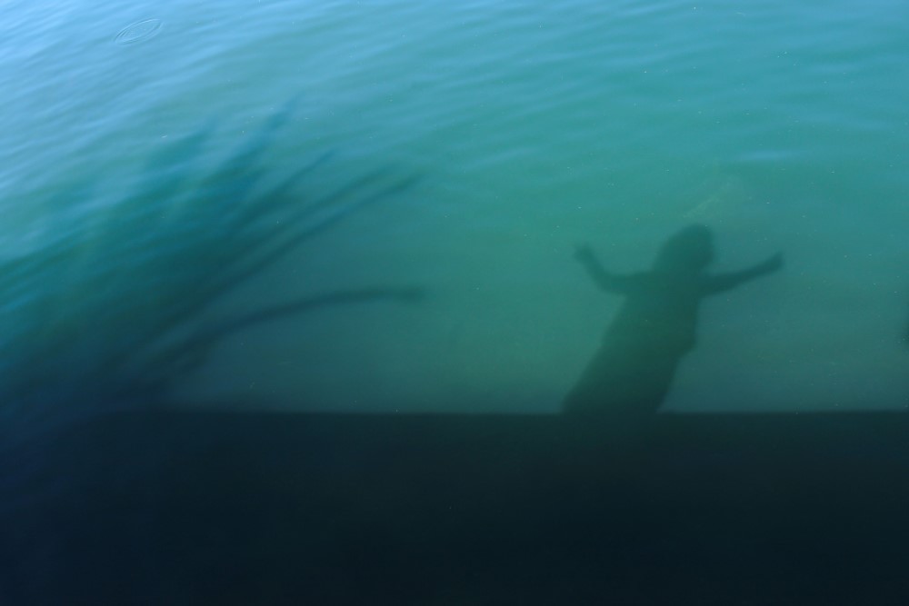 מונטנגרו טיול מאי -0512.jpg