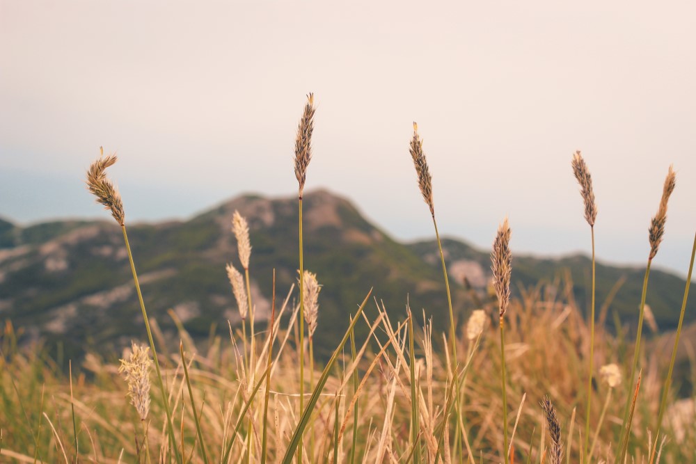 מונטנגרו טיול מאי -9774-3.jpg