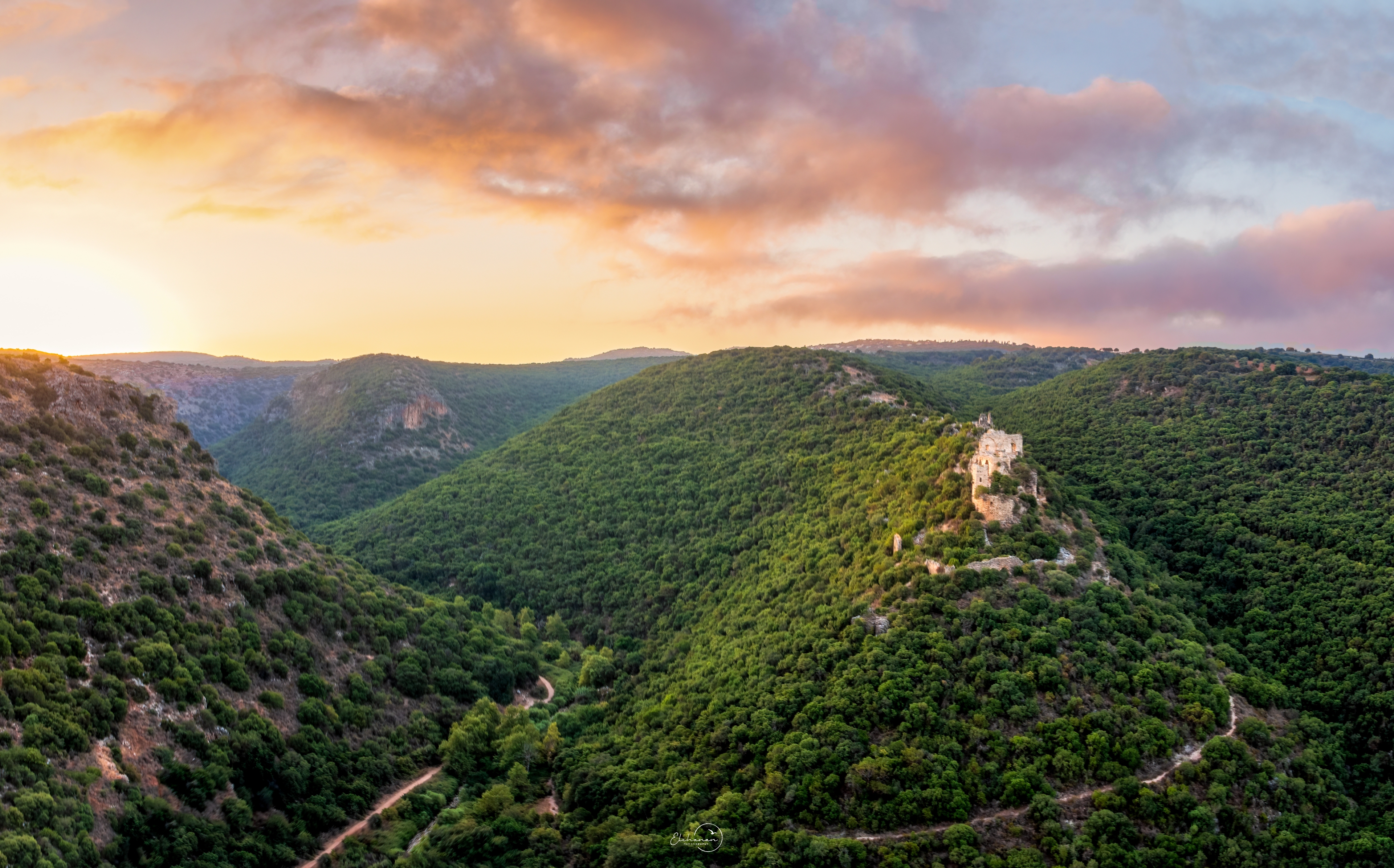 מונפורט 3 מוקטן.jpg