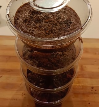 מוס (2) (Mobile).jpeg