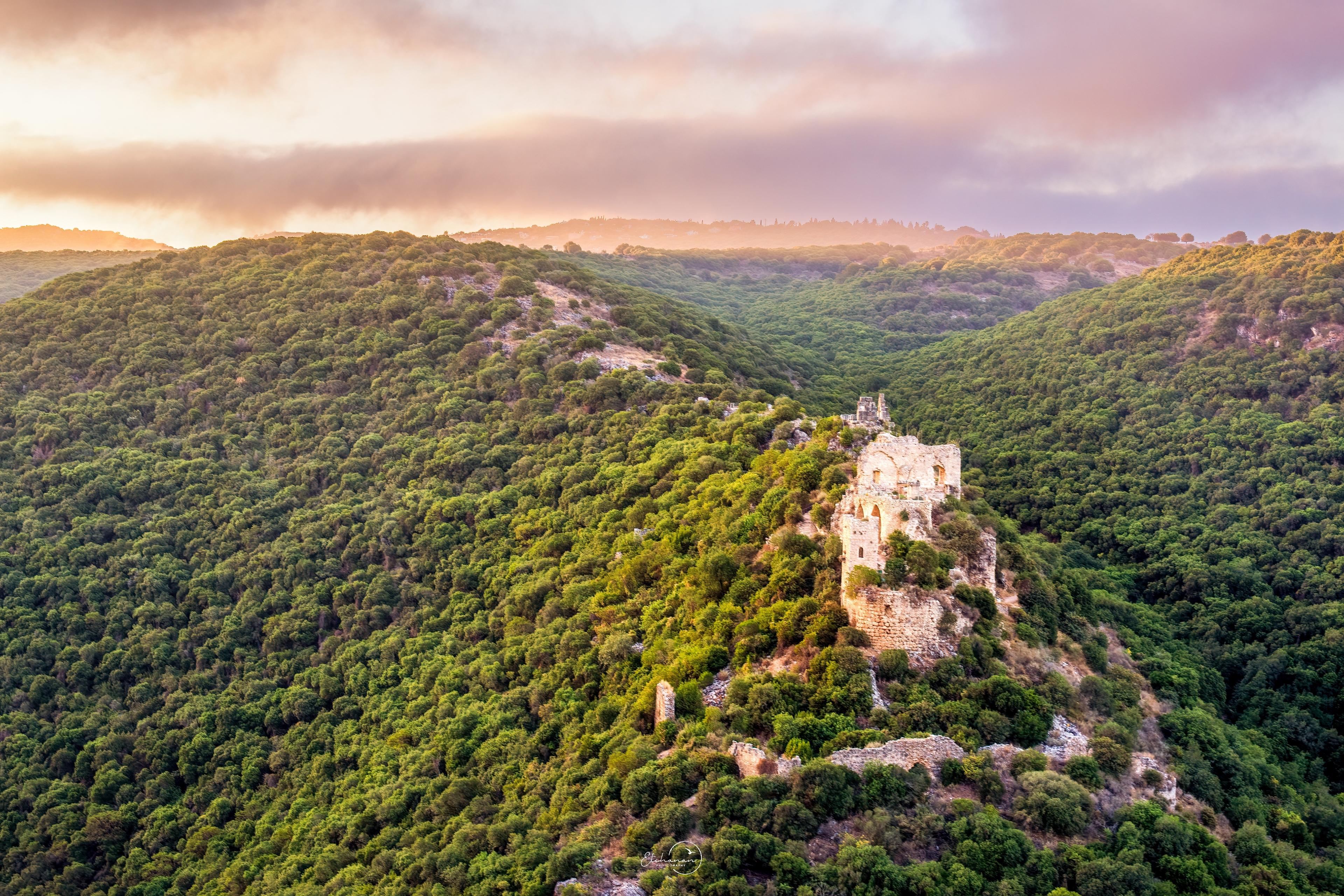 מופורט 1 מוקטן.jpg