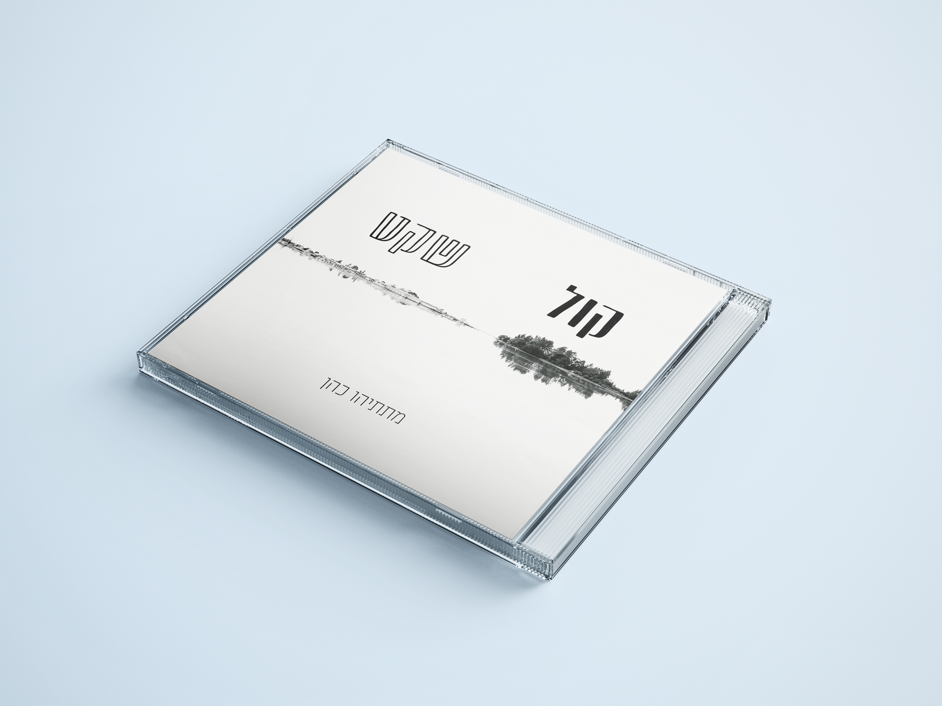 מוקאפ דיסק.png