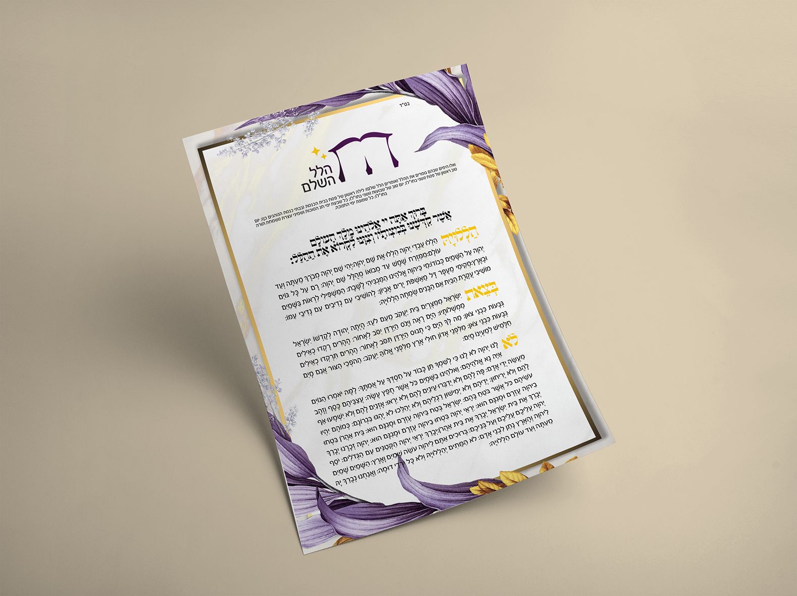 מוקאפ הלל.jpg