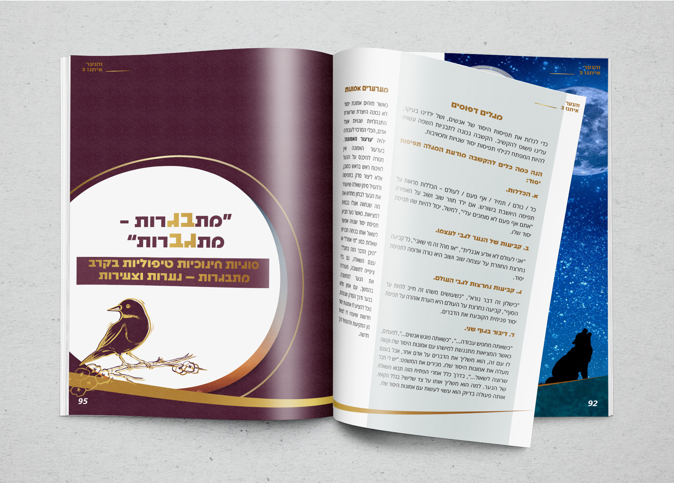 מוקאפ חוברת פתוחה  2והנער.jpg