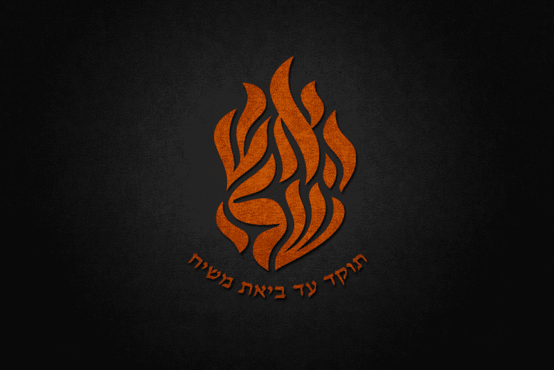 מוקאפ לוגו בולט צבעוני מחוספס.png