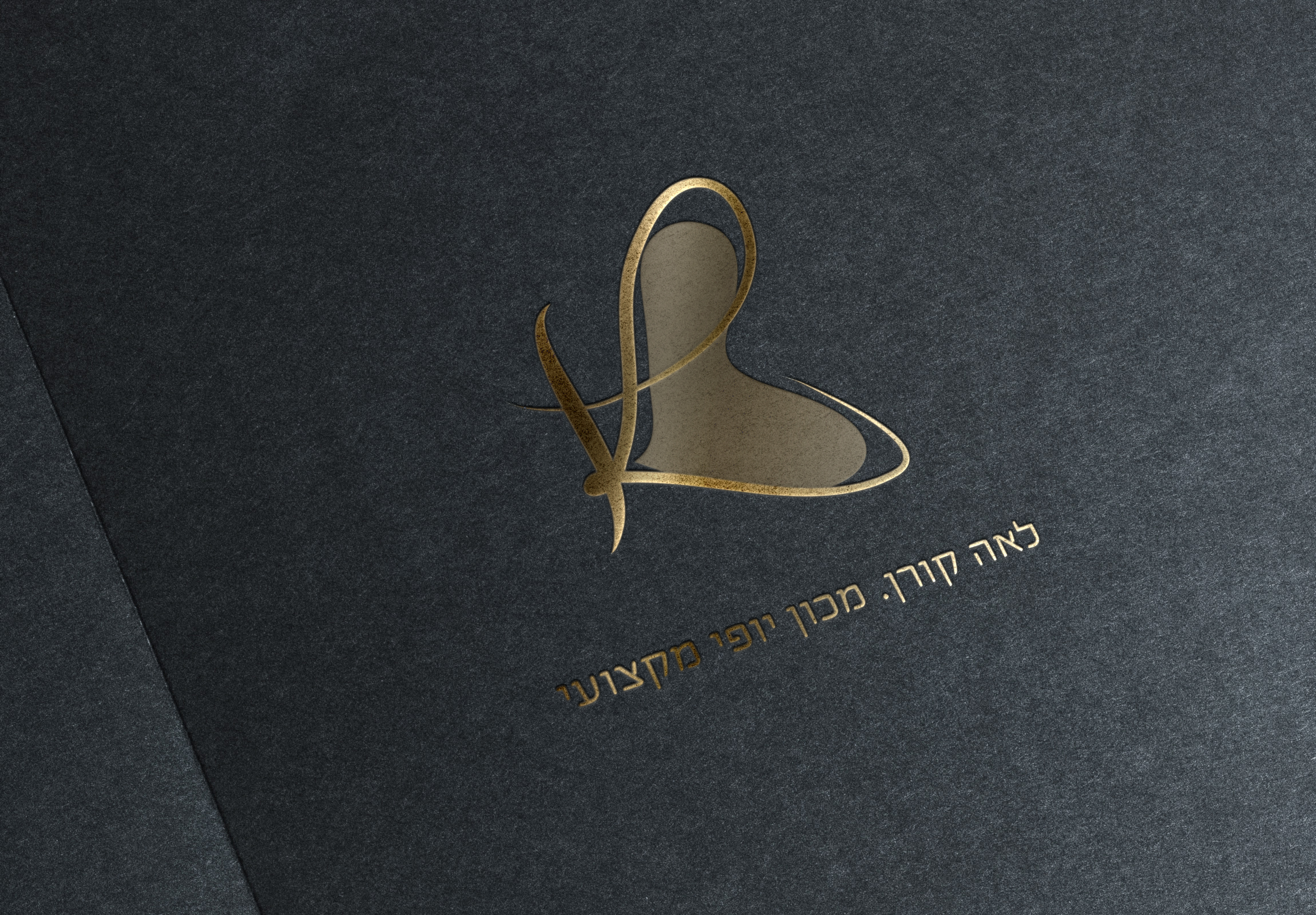 מוקאפ לוגו 2.jpg