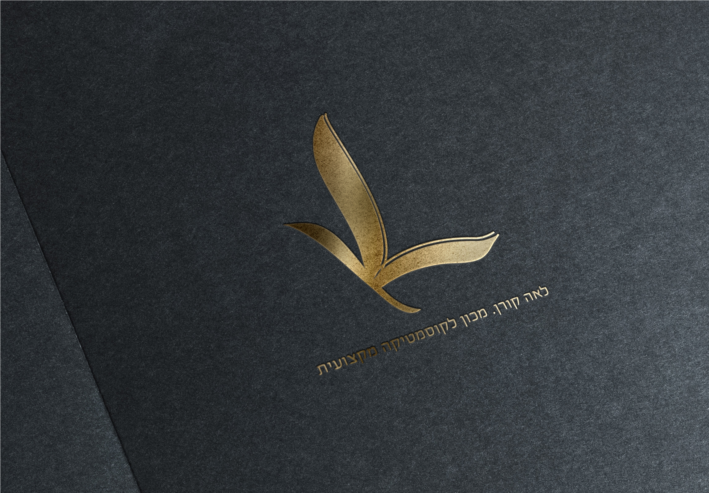 מוקאפ לוגו 3.jpg