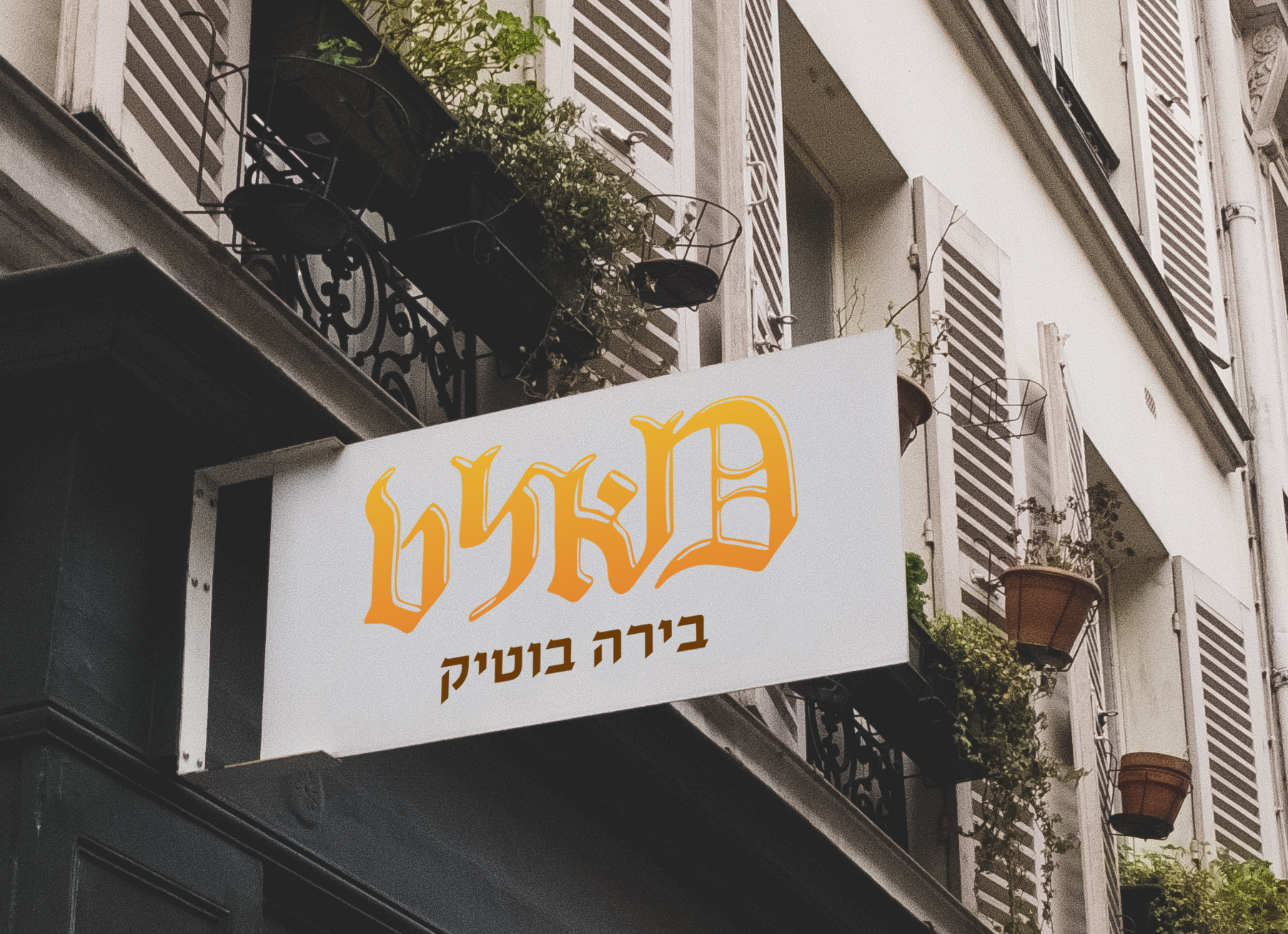 מוקאפ מאלט.jpg