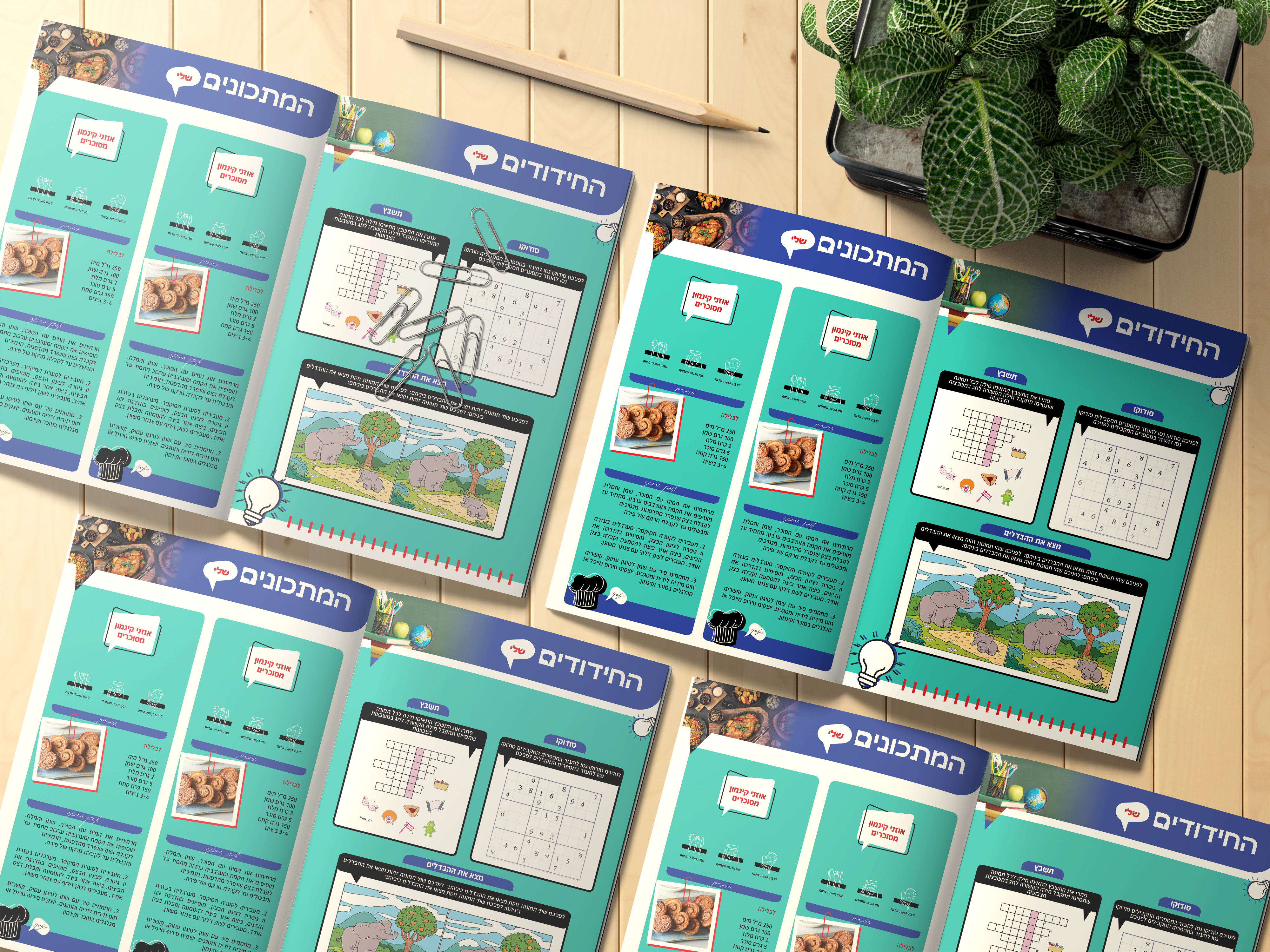 מוקאפ מדורים 2.jpg