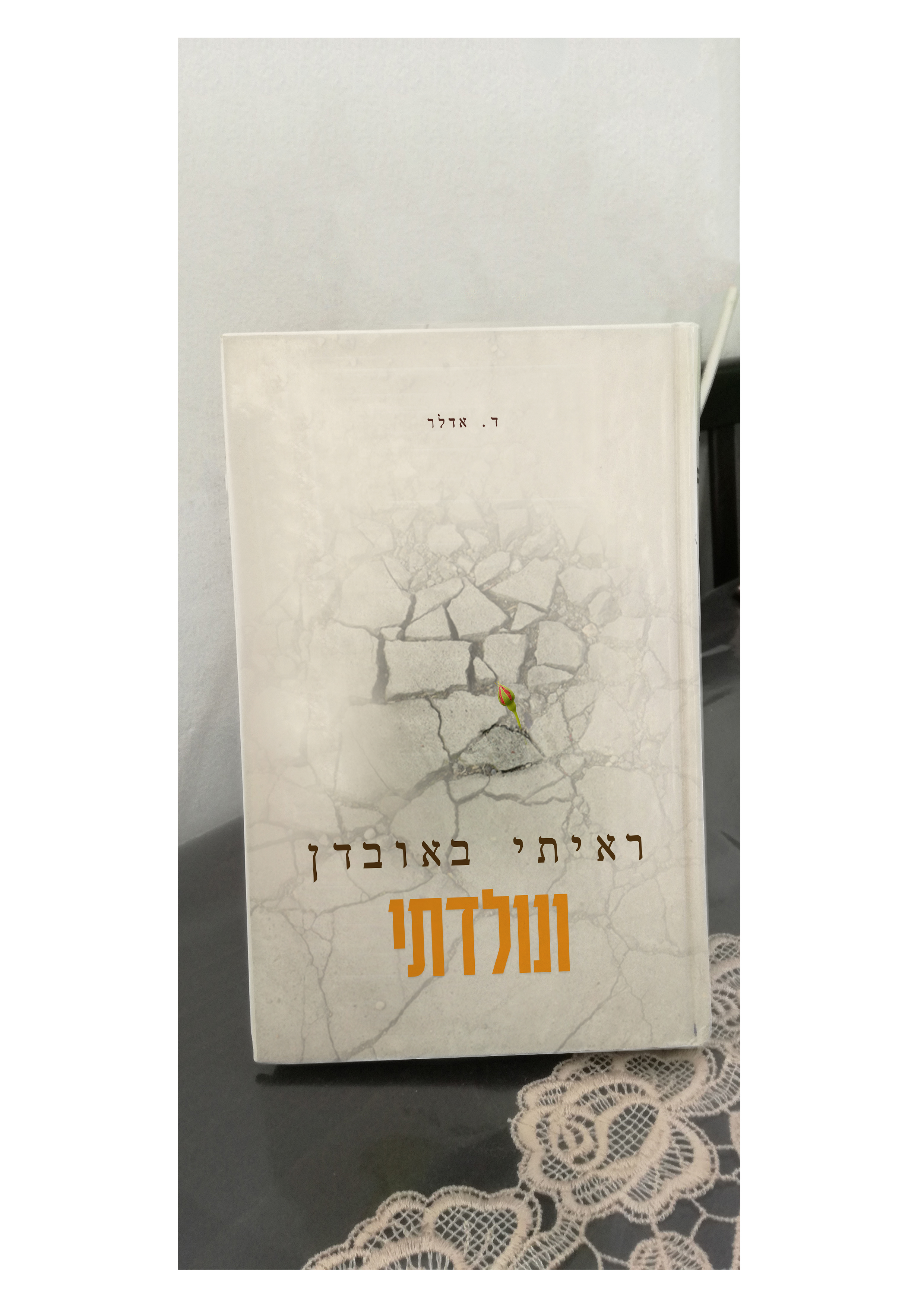 מוקאפ ספר.jpg