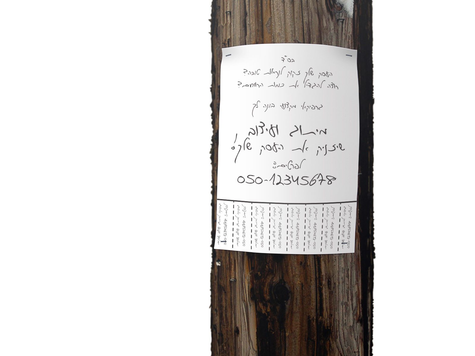 מוקאפ פלאייר על עץ.jpg