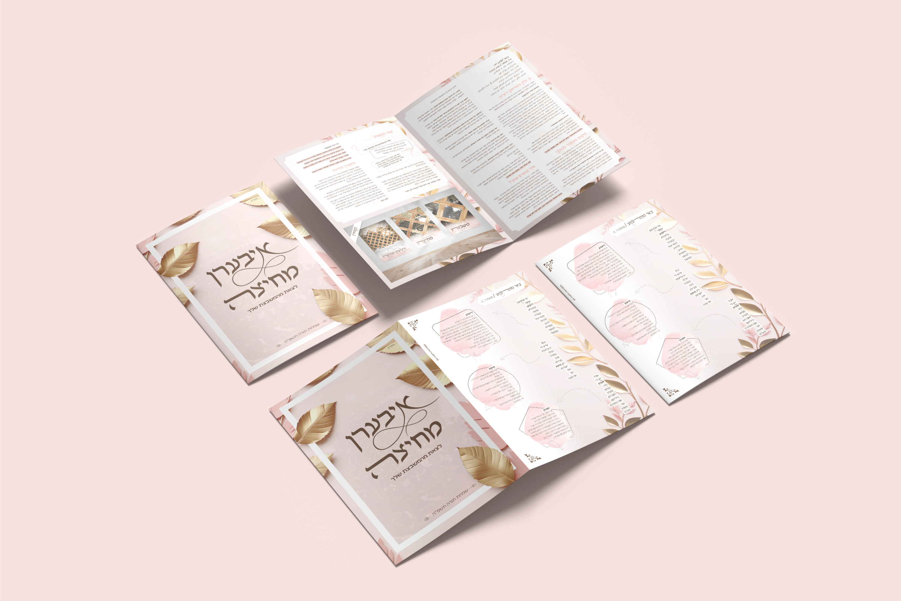 מוקאפ פלייר נשות צאנז פ״ה.png