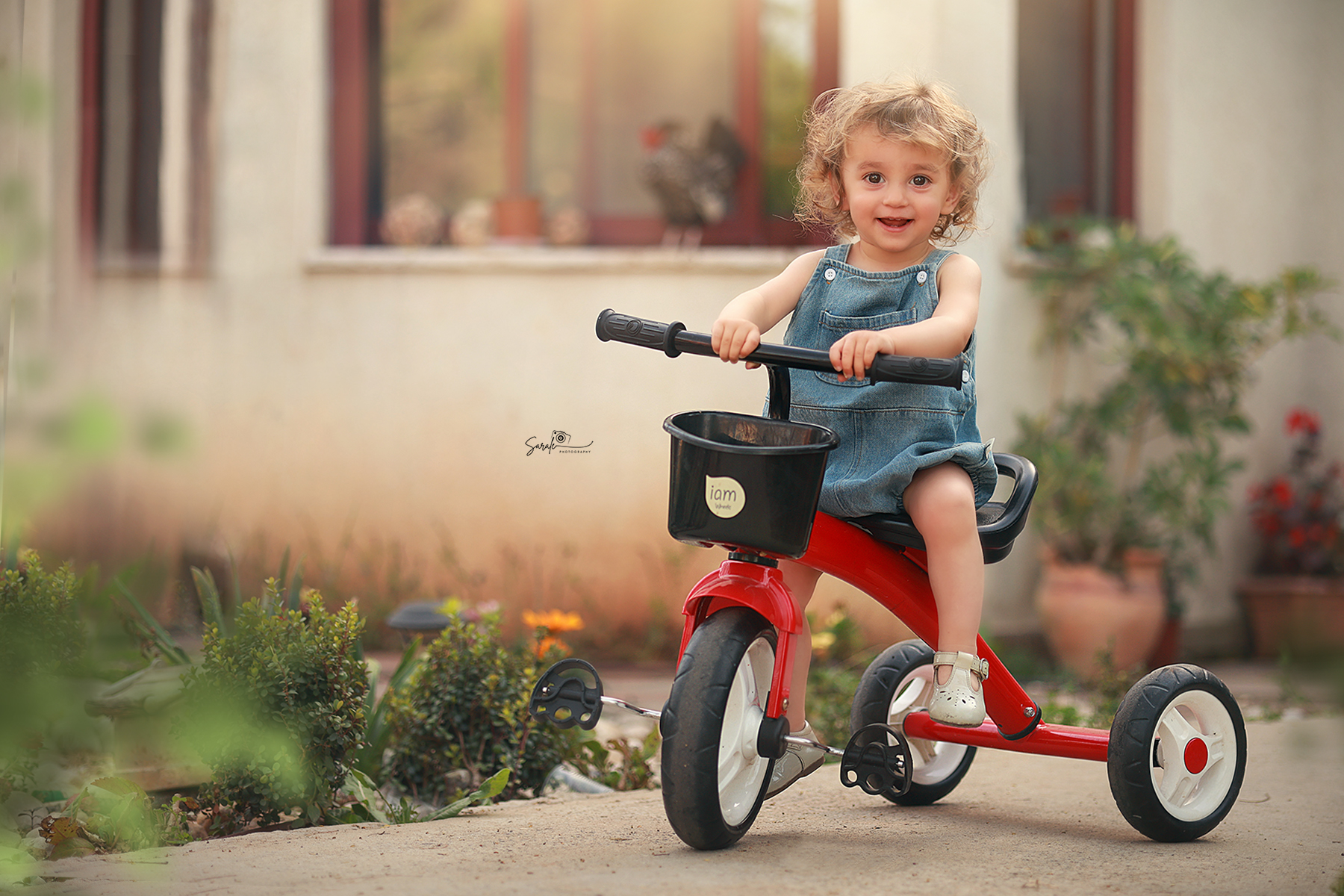 מוקטן אדומות.jpg