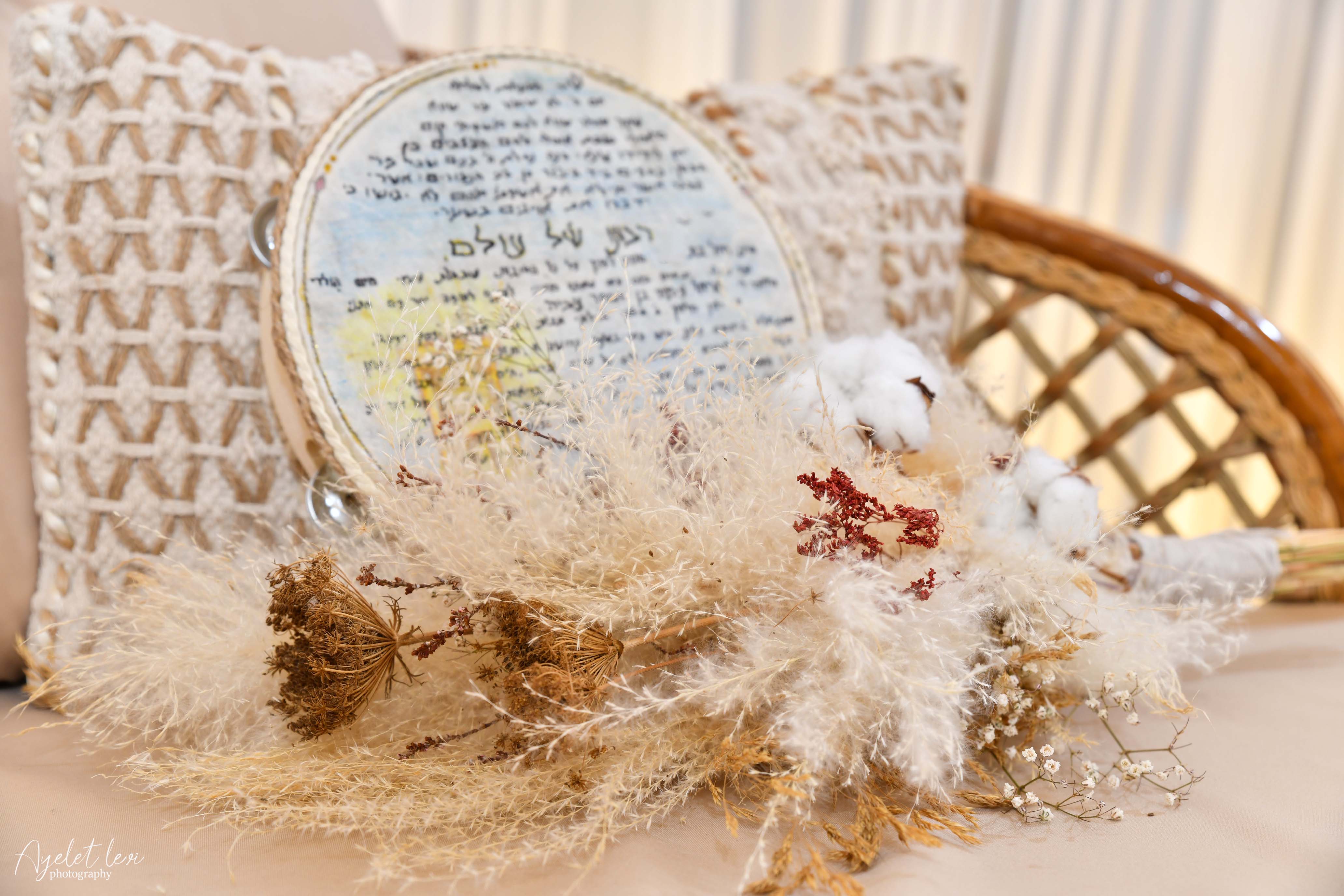 מוקטן איילת לוי 2.jpg