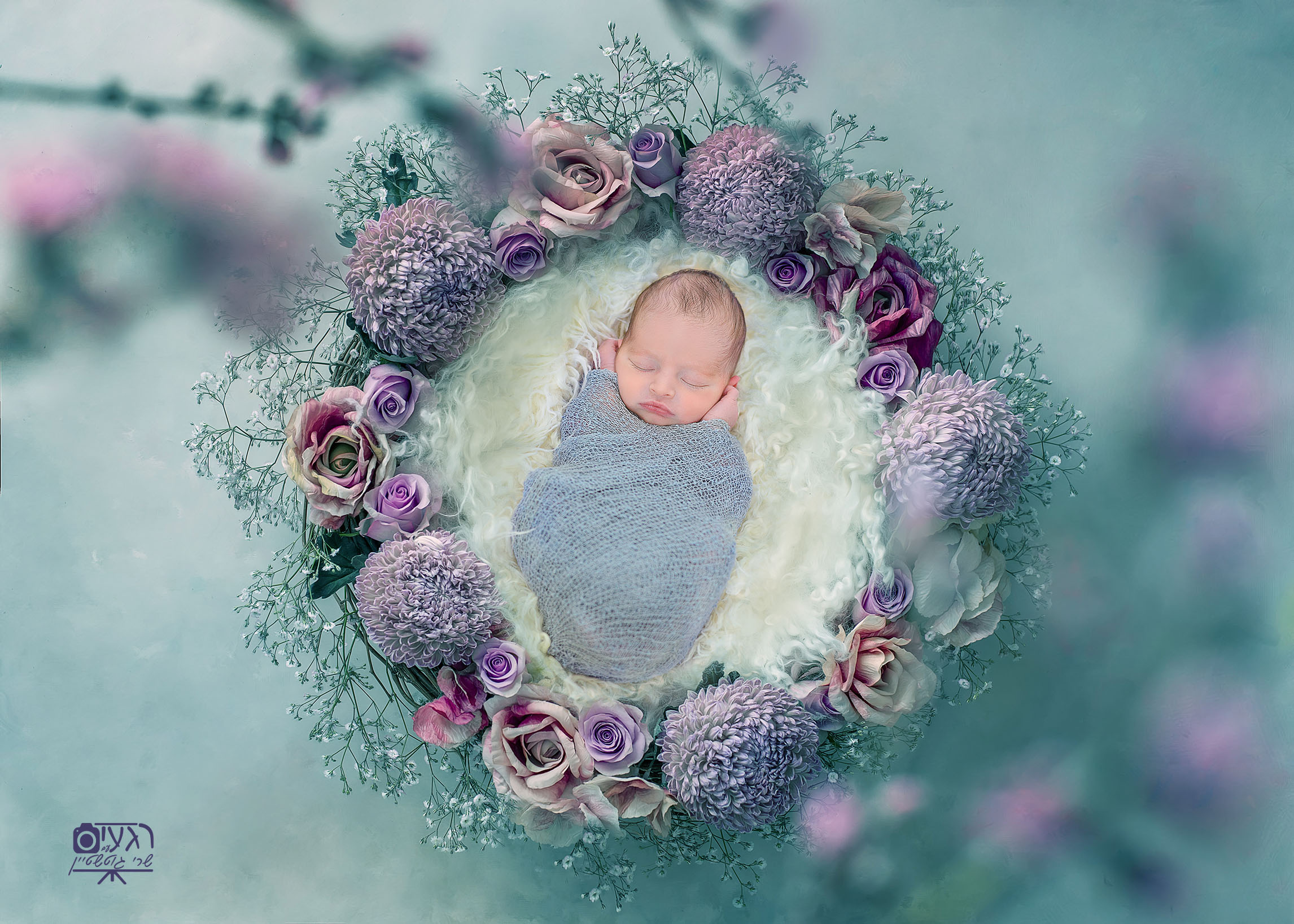 מוקטן לאתר.jpg