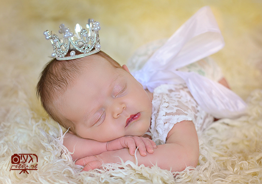 מוקטן לוגו.jpg