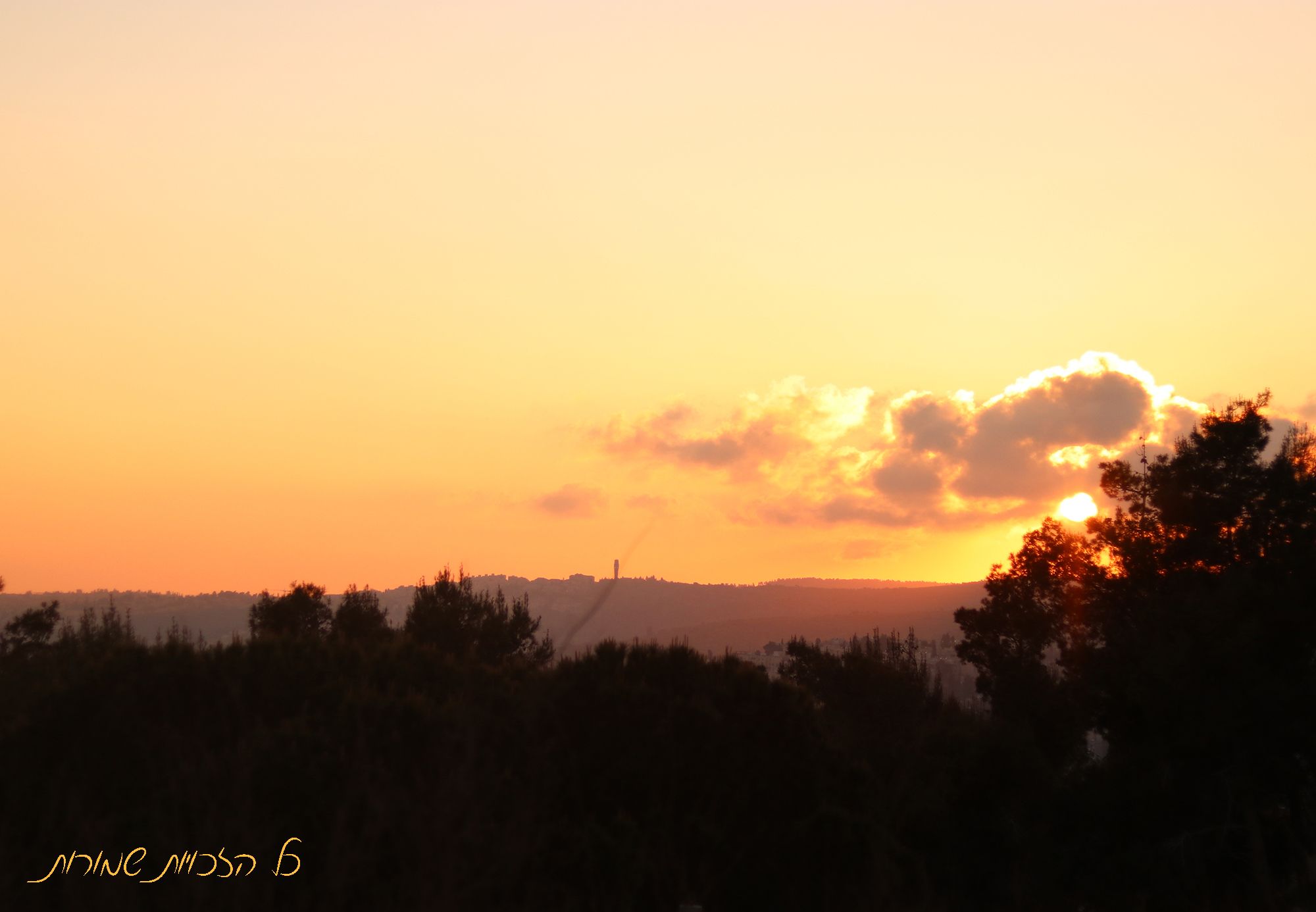 מוקטן לפרוג.jpg