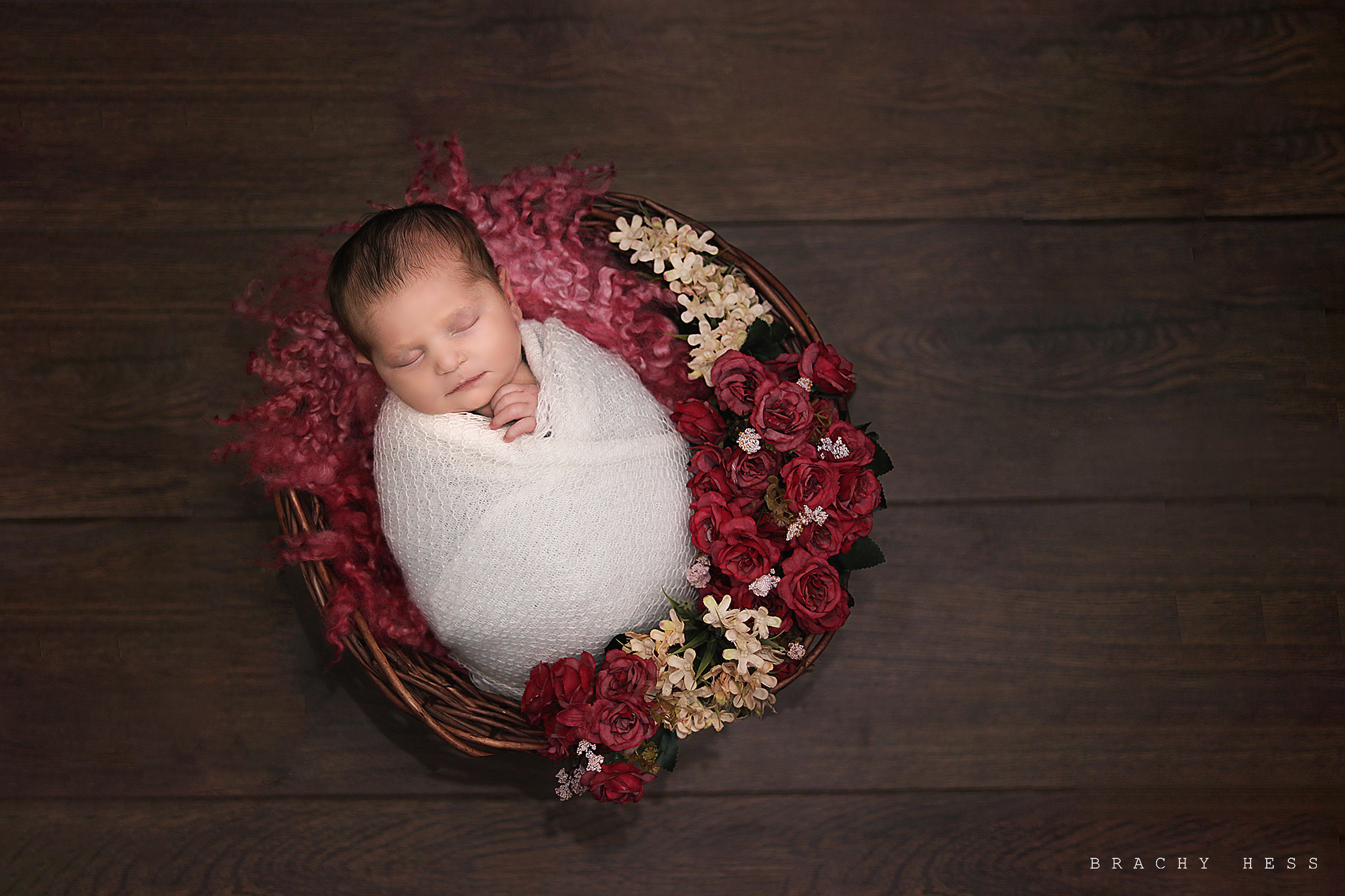 מוקטן סלסלה.jpg