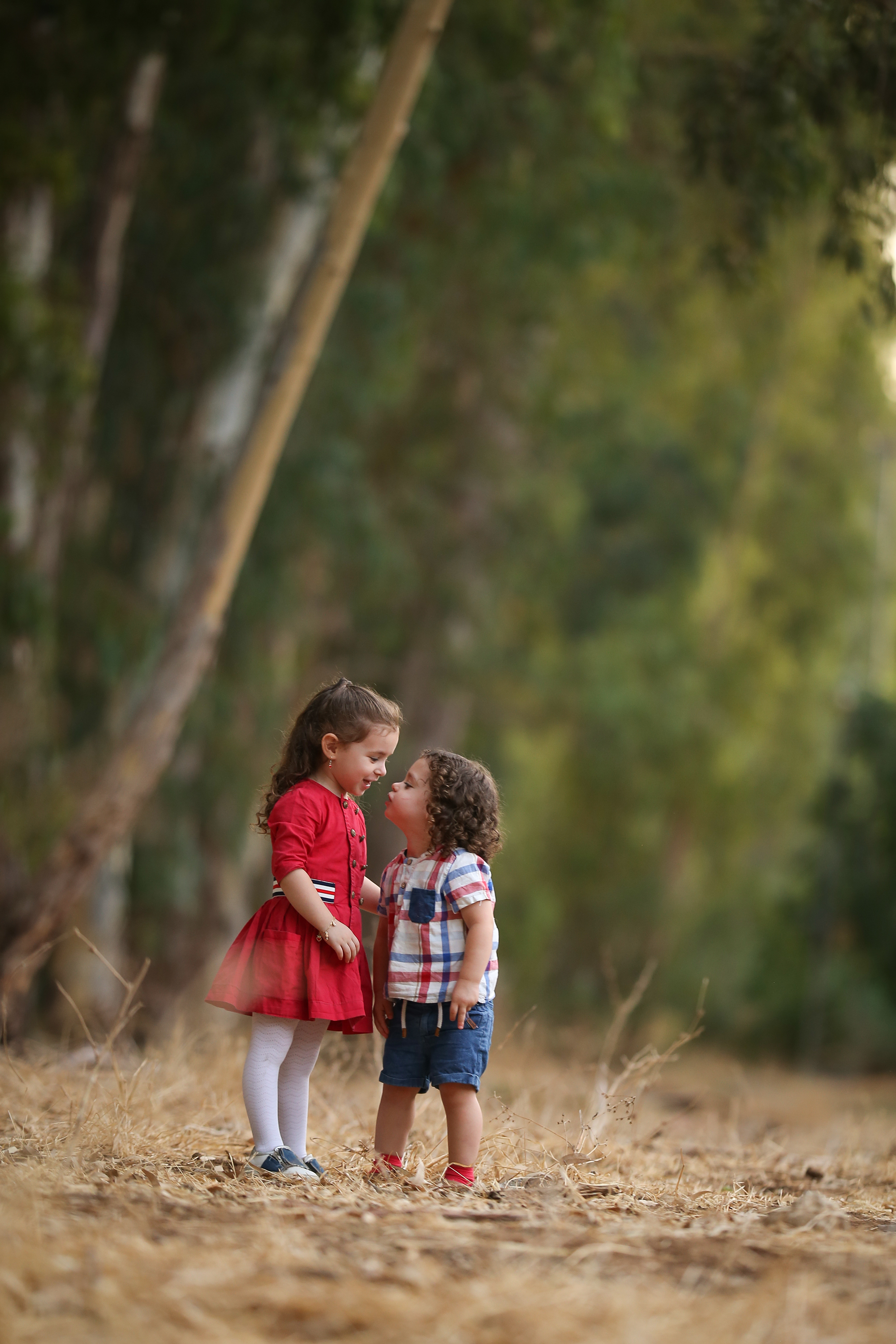 מוקטן רחלי.jpg