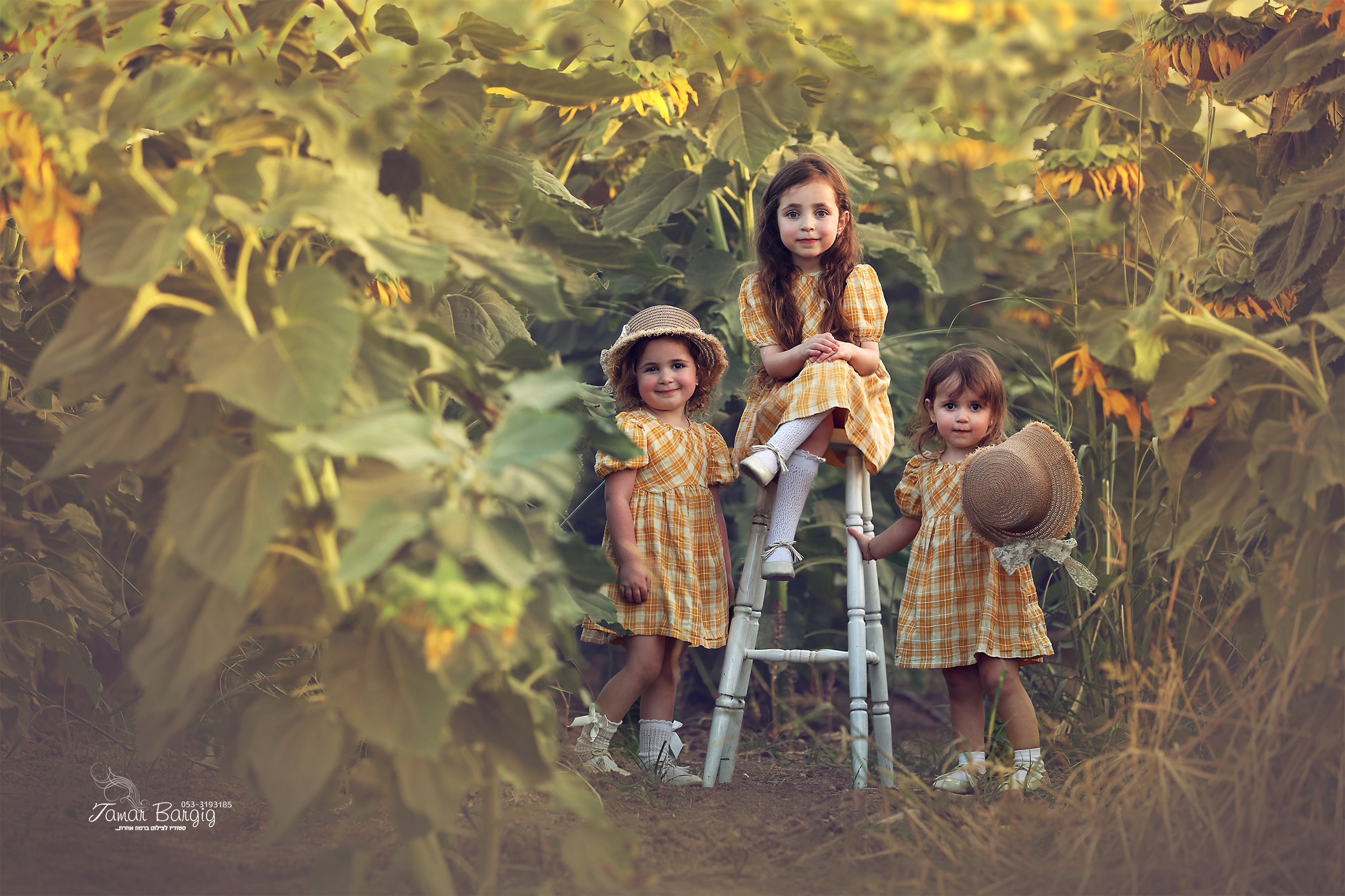 מוקטן רייזנר.jpg