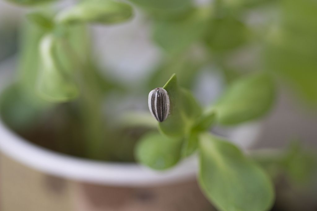 מוקטן 1_1024x682.jpg