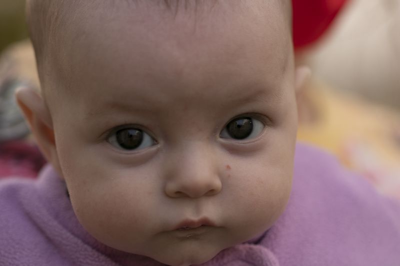 מוקטן 3_800x533.jpg