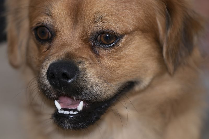 מוקטן 4_800x533.jpg